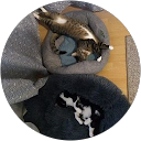 Anna K. profile picture